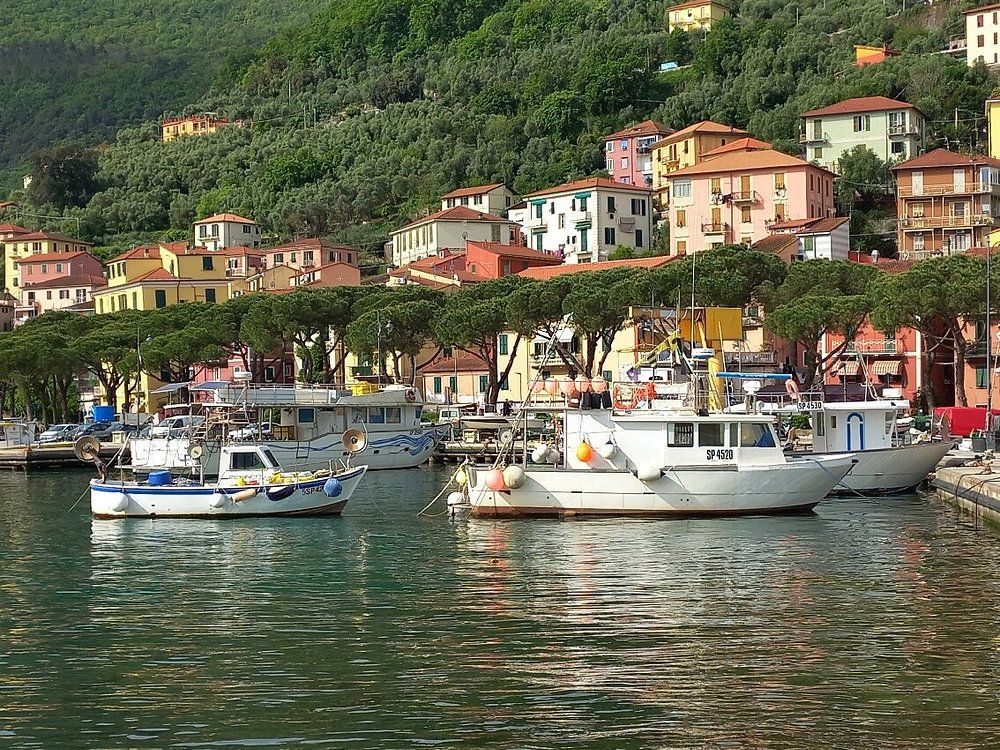 Paradiso su Cadimare | Porto Venere / Le Grazie / Fezzano / Ca' di Mare  - Appartamenti - Golfo dei Poeti