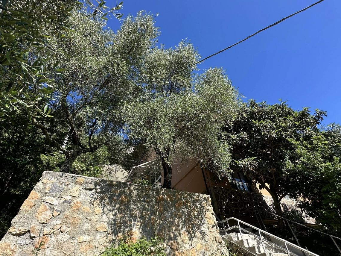 Paradiso su Cadimare | Porto Venere / Le Grazie / Fezzano / Ca' di Mare  - Appartamenti - Golfo dei Poeti