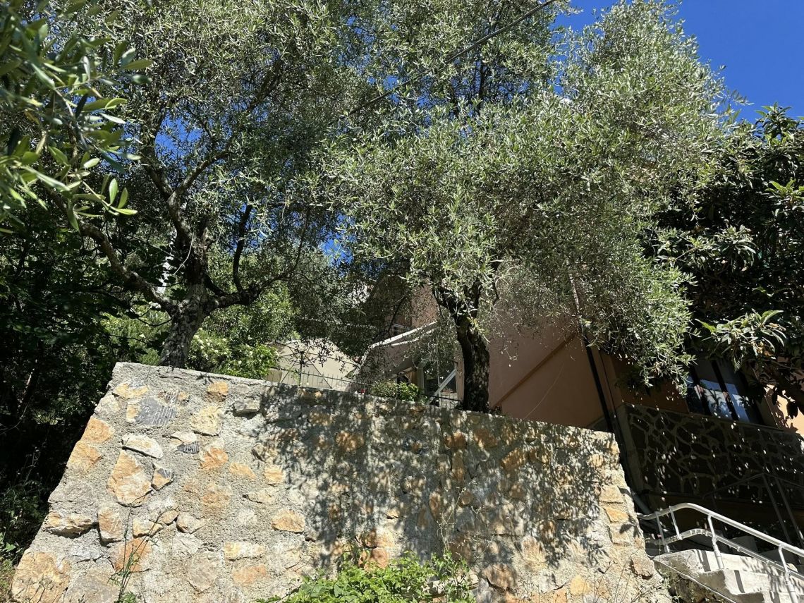 Paradiso su Cadimare | Porto Venere / Le Grazie / Fezzano / Ca' di Mare  - Appartamenti - Golfo dei Poeti
