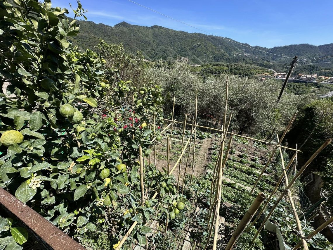 Casa Panorama del Levante  | Levanto / Bonassola / Framura - Case e ville - Baie del Levante