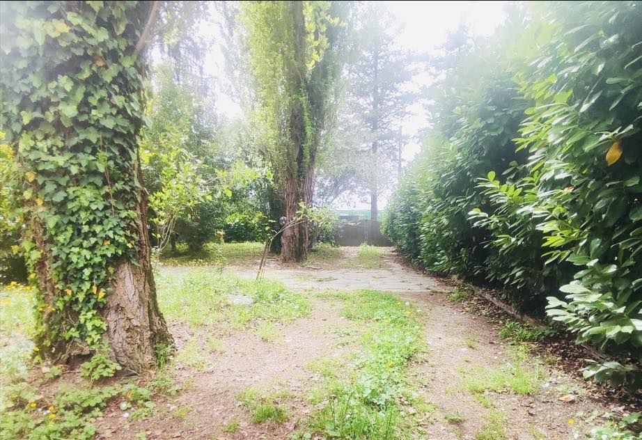 Appartamento Delizia | Marina di Pietrasanta - Appartamenti - Versilia