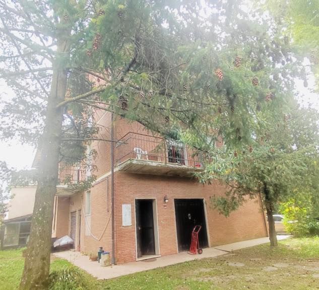 Appartamento Delizia | Marina di Pietrasanta - Appartamenti - Versilia