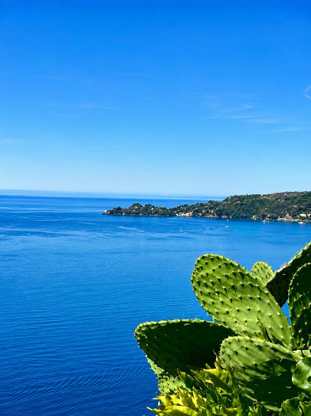 Villa Sole Portofino | Chiavari/Zoagli - Case e ville - Golfo del Tigullio