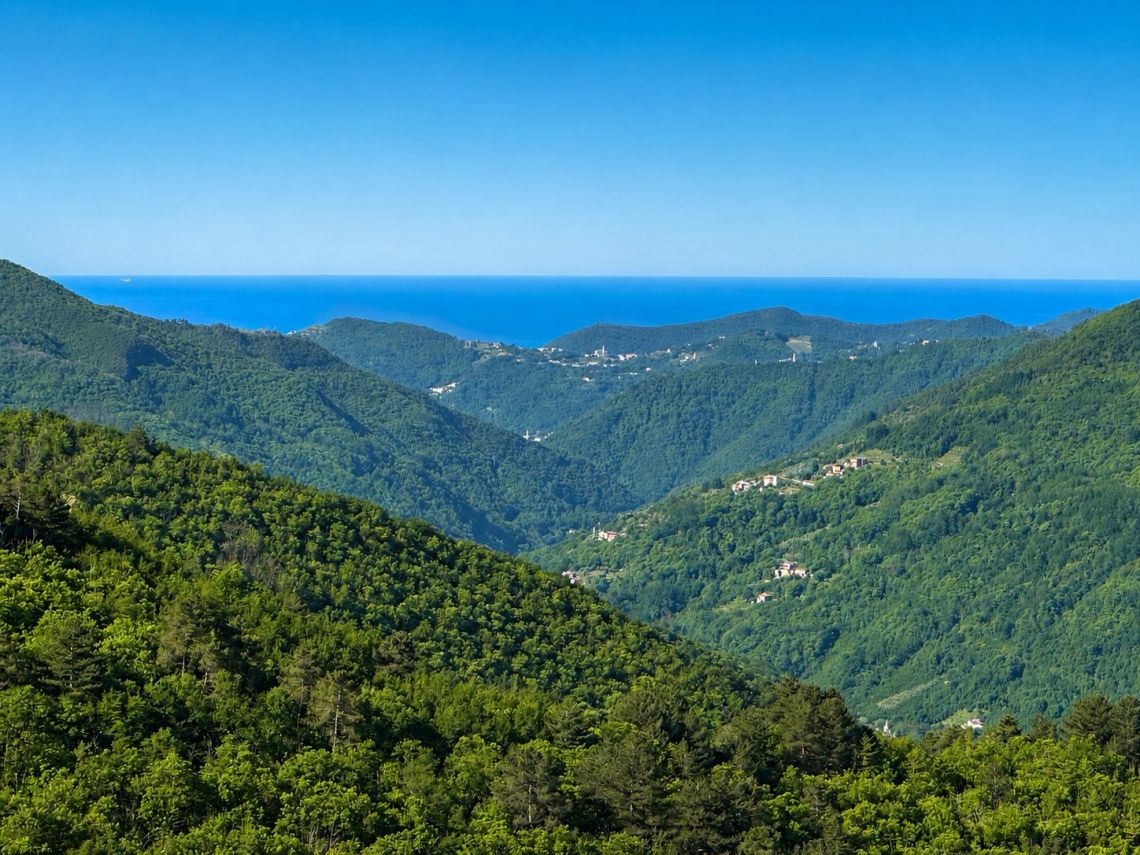 La Casetta che Sorride al Mare | Chiavari/Zoagli - Appartamenti - Golfo del Tigullio