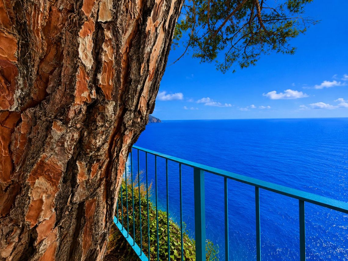 La Casa sulla Scogliera | Vernazza & Corniglia - Case e ville - 5 Terre
