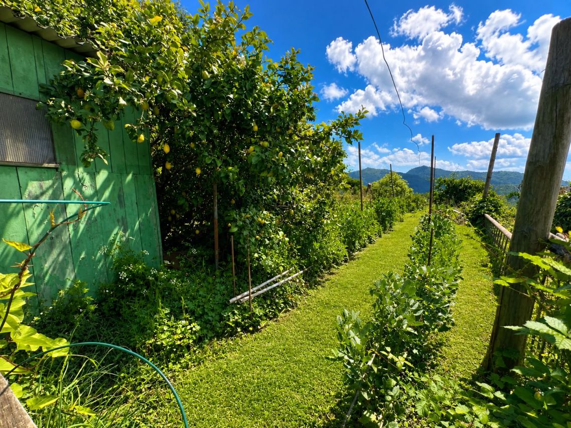 La Casa del Vignaiolo | Levanto / Bonassola / Framura - Case e ville - Baie del Levante