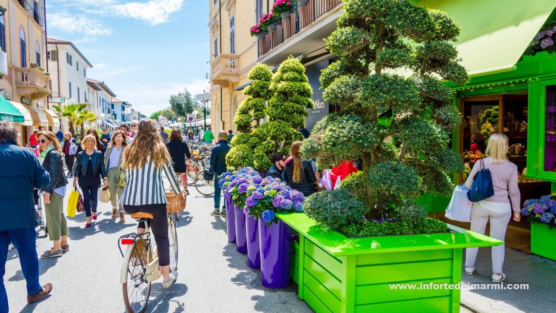 Appartamento Alessia | Marina di Massa / Ronchi / Marina di Carrara - Appartamenti - Riviera Apuana