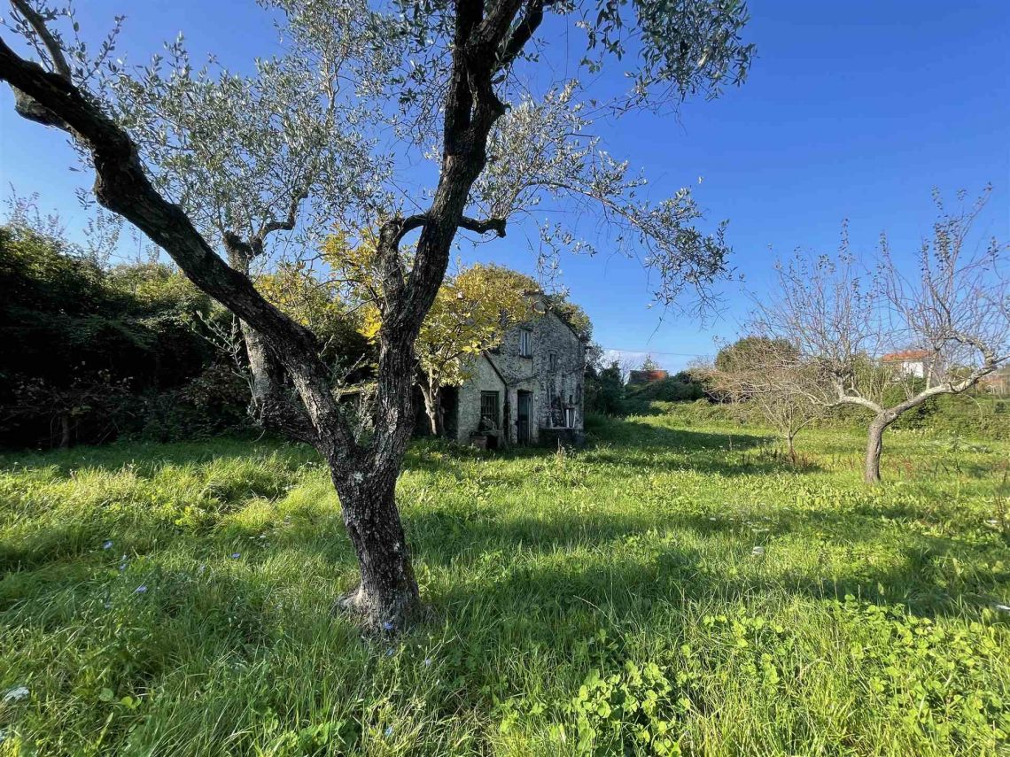 Poderetto San Lorenzo | Lerici/San Terenzo/Tellaro - Case e ville - Golfo dei Poeti