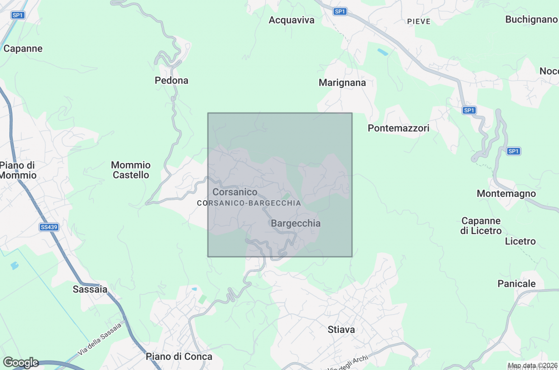 Villa Versilia Cielo e Mare | Camaiore - Case e ville - Versilia