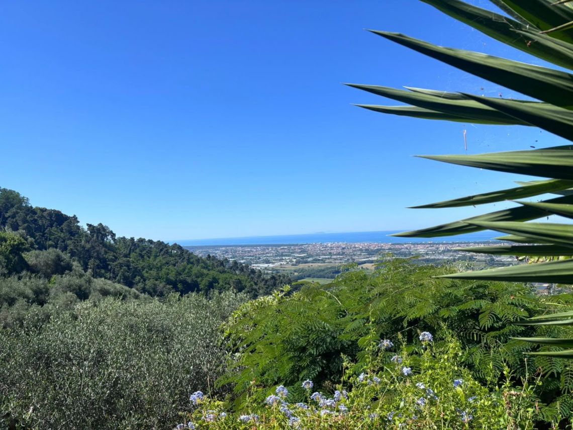Antica Casa Pietra e Cielo | Camaiore - Case e ville - Versilia