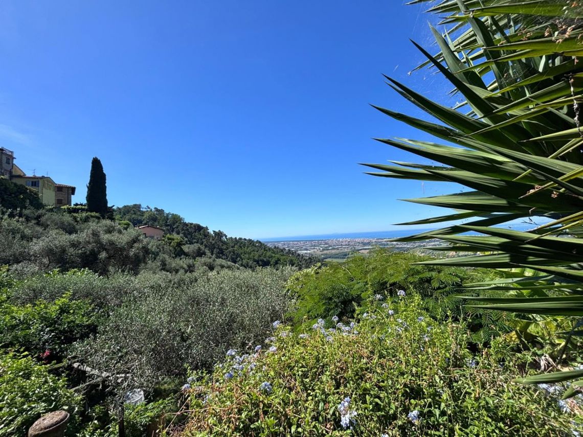 Antica Casa Pietra e Cielo | Camaiore - Case e ville - Versilia