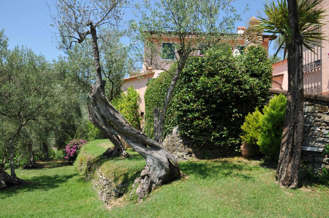 Tenuta Gardenia | Lunigiana Mare - Exklusive Häuser & Villen - Lunigiana mare, Sarzana & Colline del Sole