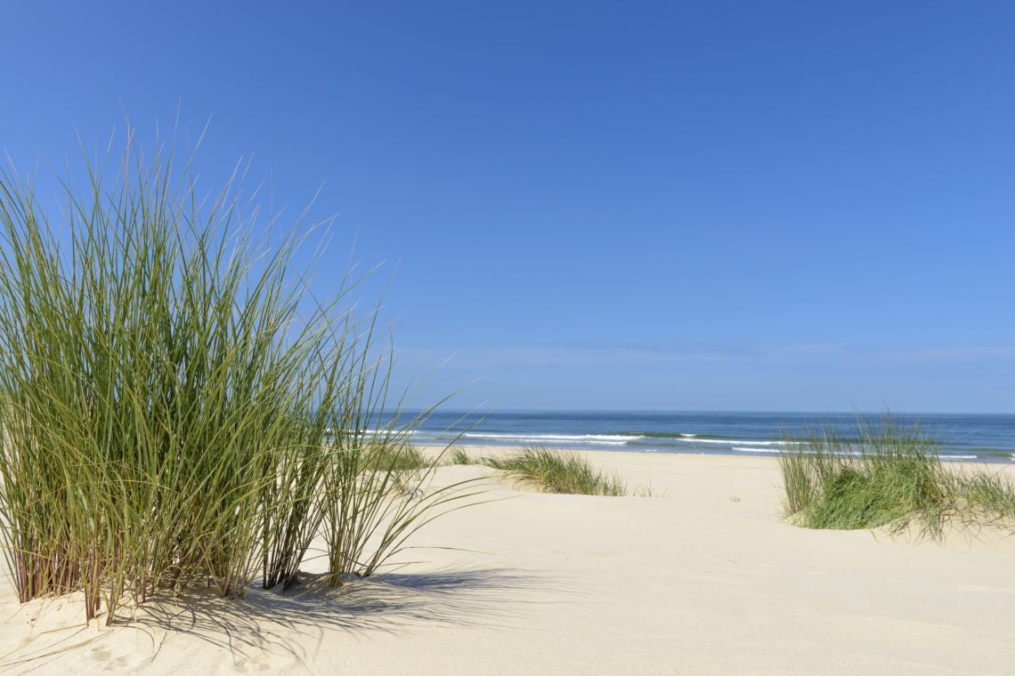 Cottages Mambrui Beach | Malindi - Houses and Villas - Kenya & Zanzibar