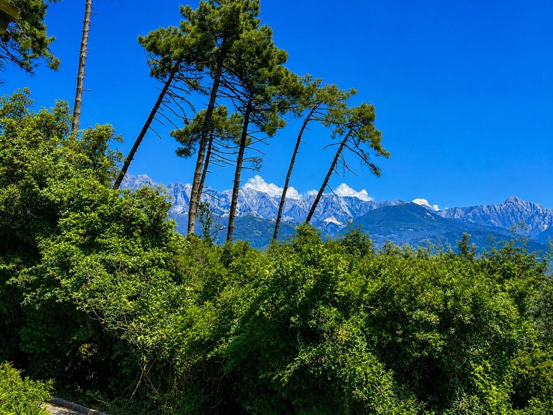 Villetta il Paradiso sul Magra  | Bocca di Magra / Fiumaretta / Montemarcello/Marinella - Case e ville - Bocca di Magra / Fiumaretta / Marinella / Montemarcello