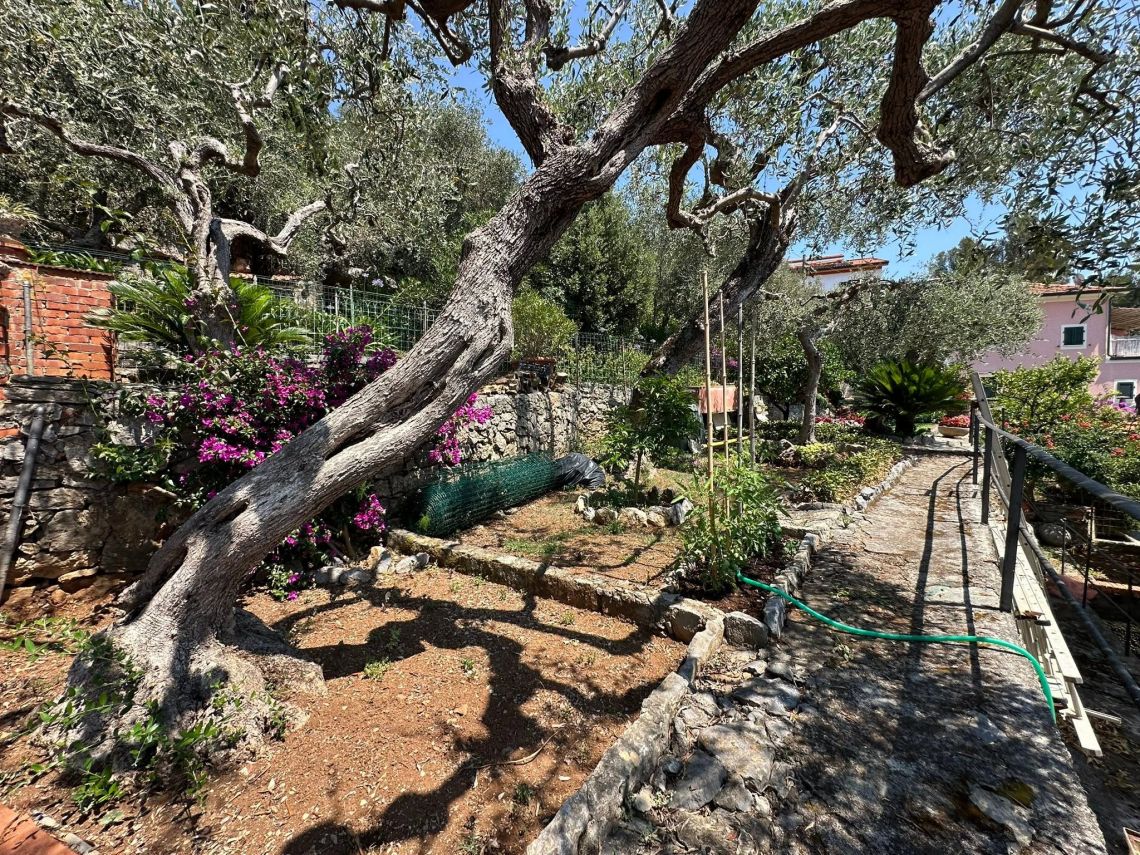 Villa Il Sole su Tellaro | Lerici/San Terenzo/Tellaro - Case & Ville di Pregio - Golfo dei Poeti