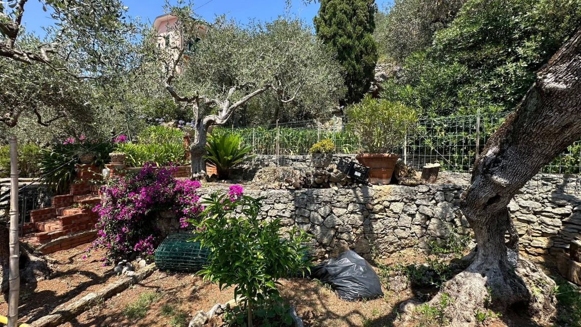 Villa Il Sole su Tellaro | Lerici/San Terenzo/Tellaro - Case & Ville di Pregio - Golfo dei Poeti