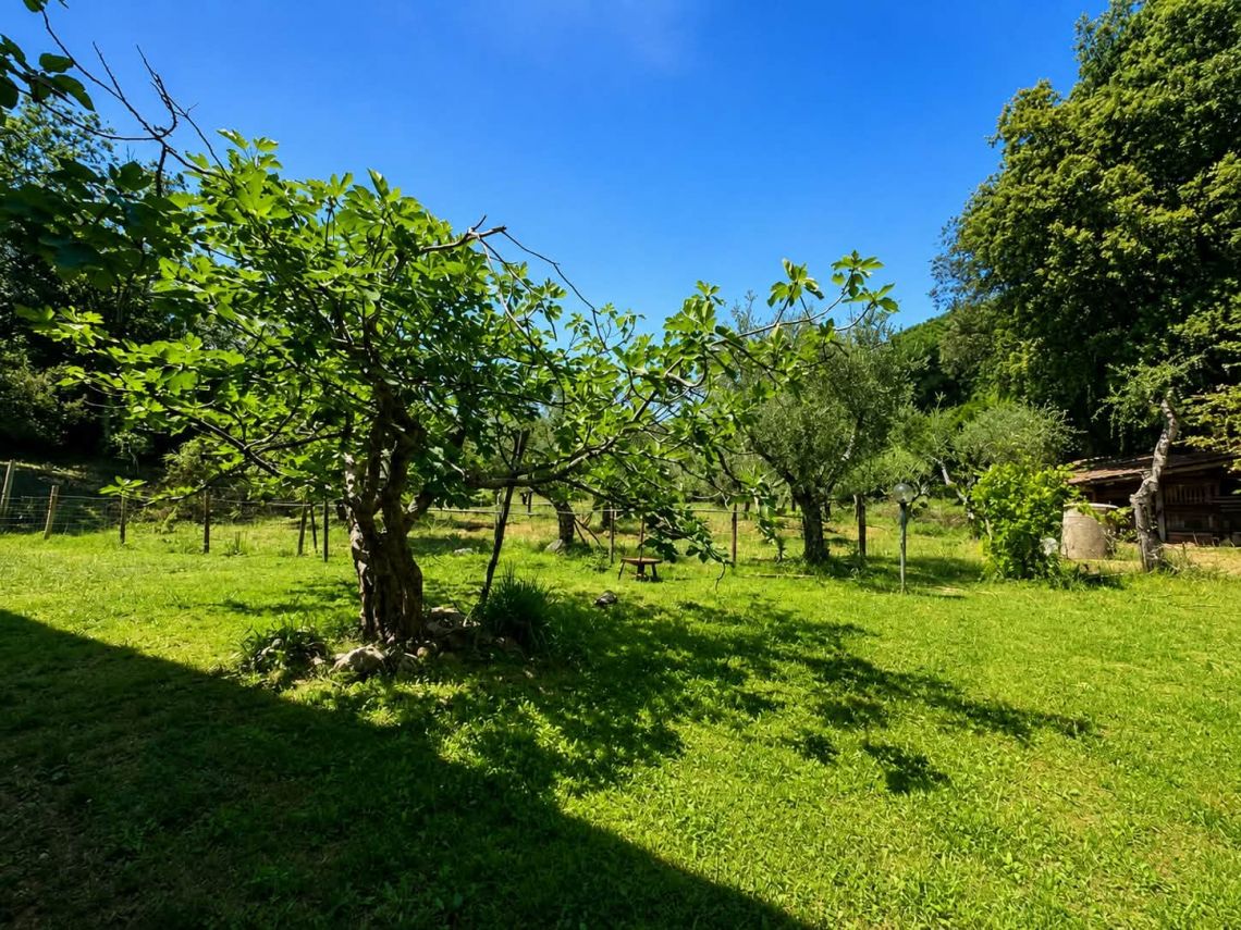 Tenuta la Farfalla Dorata | Lerici/San Terenzo/Tellaro - Case & Ville di Pregio - Golfo dei Poeti