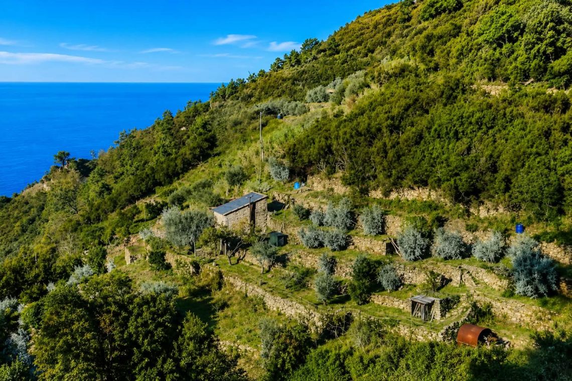 Il Rustico del Miele  | Riomaggiore & Manarola - Casali & Rustici - 5 Terre