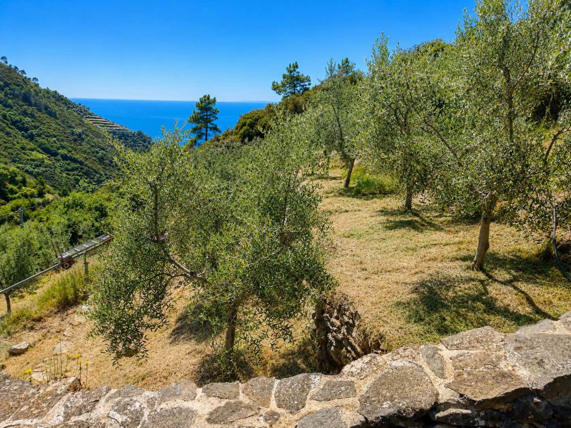 Il Rustico del Miele  | Riomaggiore & Manarola - Casali & Rustici - 5 Terre