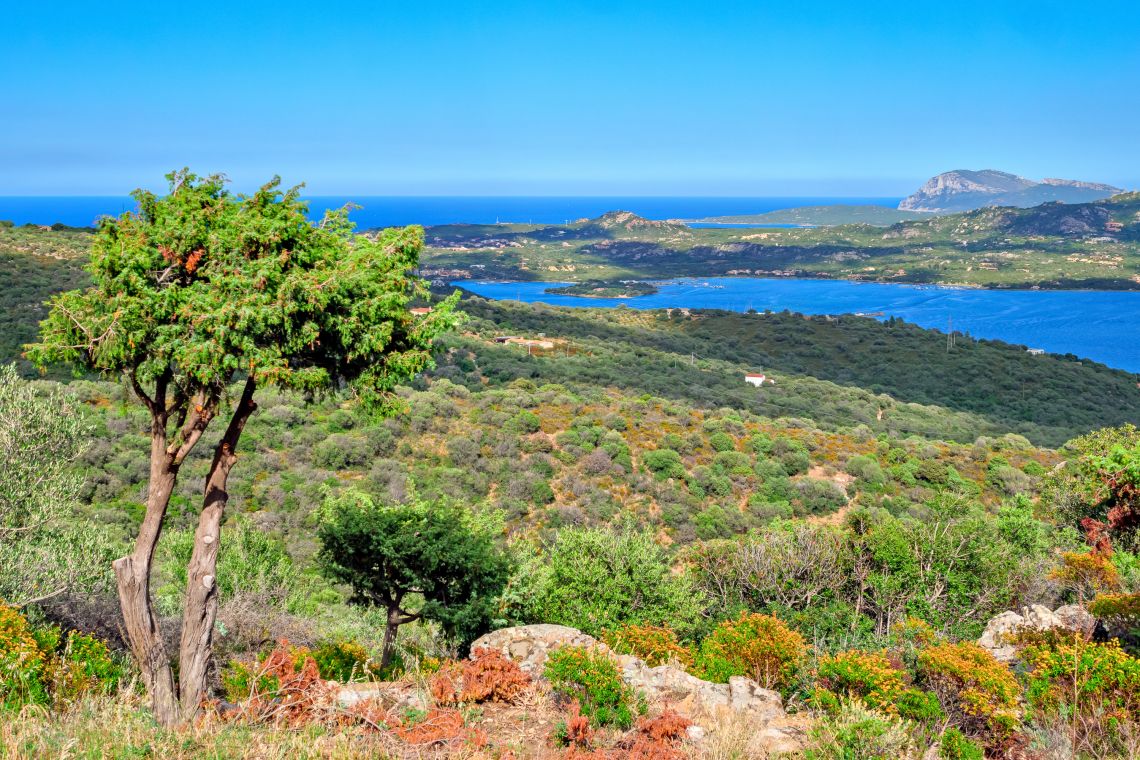 Villa Bellavista | Porto Cervo - Case e ville - Costa Smeralda