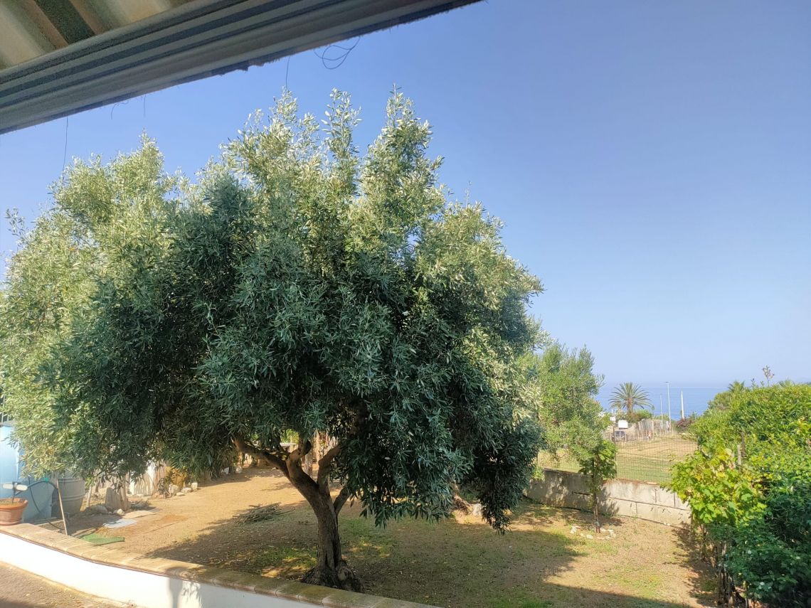 Casa Bianca di Capo Vaticano | Capo Vaticano - Case e ville - Coste della Calabria