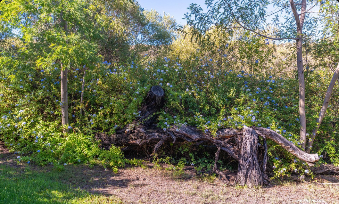 La Tenuta di Marinella | Porto Rotondo - Case e ville - Costa Smeralda