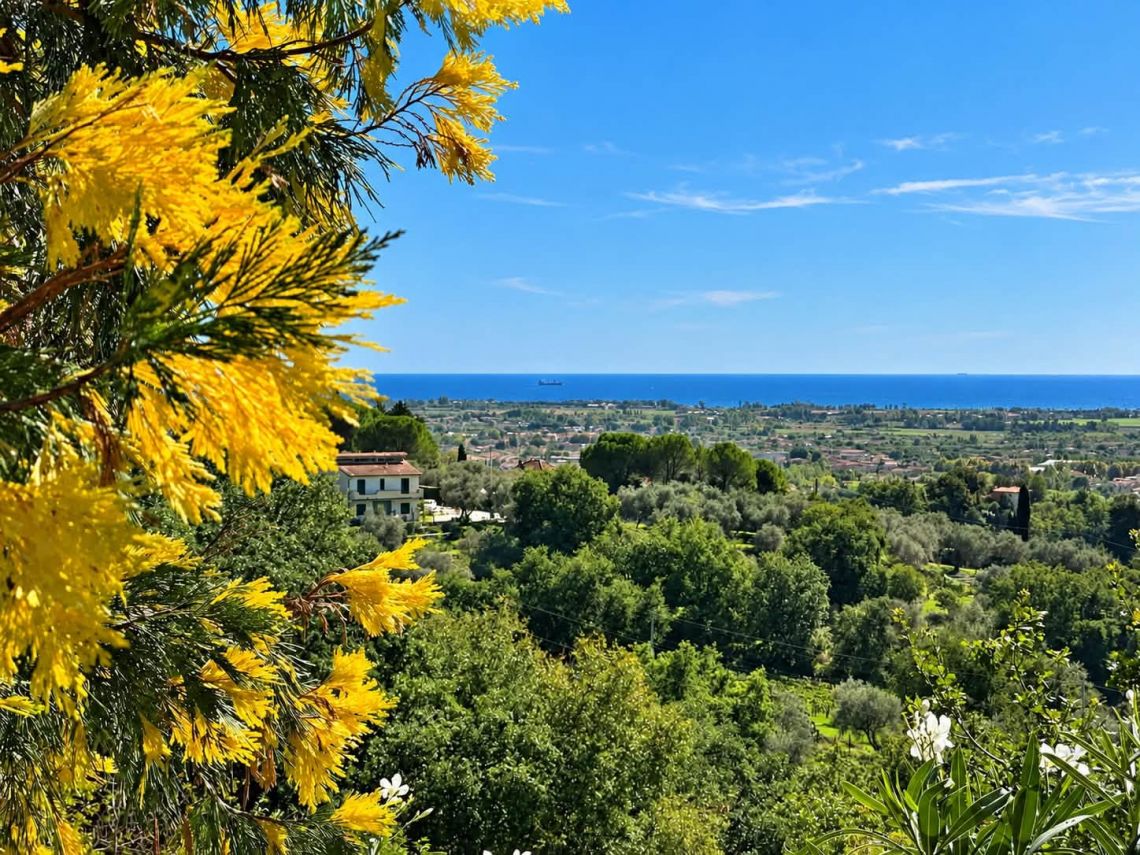 La Villa del Sole | Sarzana & Castelnuovo Magra - Case e ville - Lunigiana mare, Sarzana & Colline del Sole