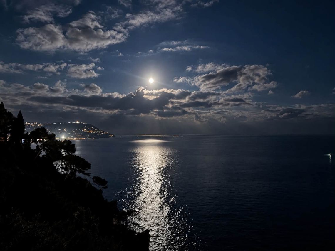 Casa la Foresta sul Mare | Cervo / San Bartolomeo al Mare - Appartamenti - Riviera di Ponente