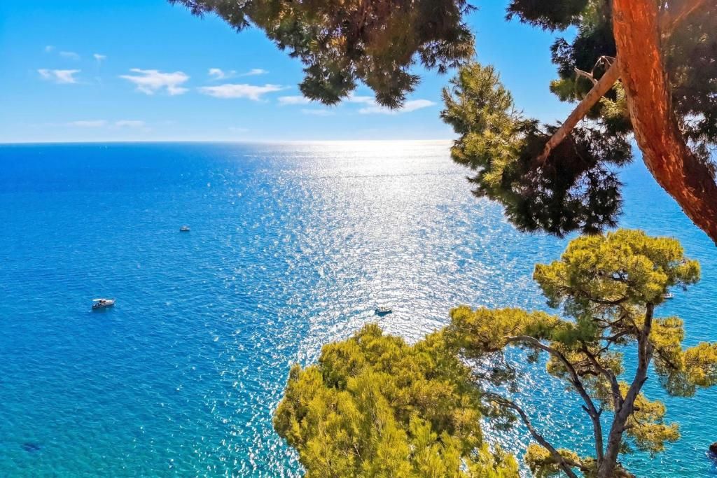 Casa la Foresta sul Mare | Cervo / San Bartolomeo al Mare - Appartamenti - Riviera di Ponente