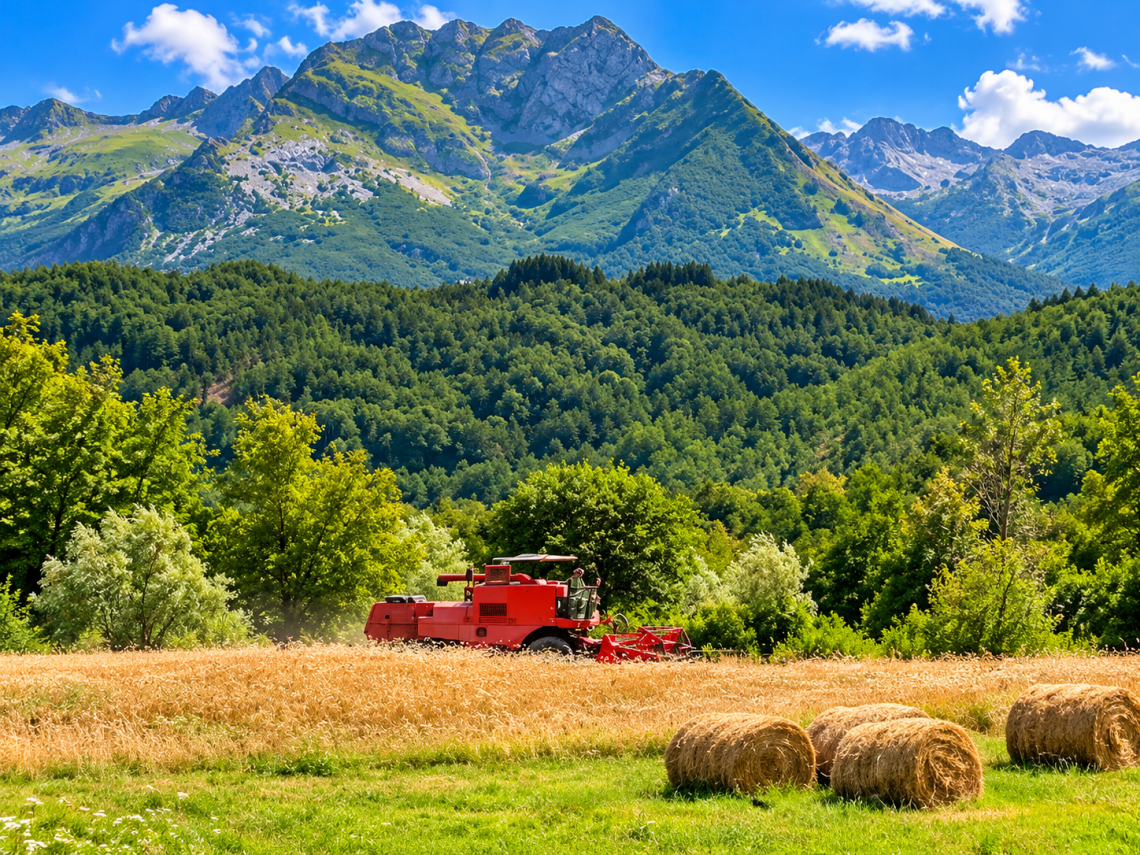 Casa Marco | Lunigiana Mare - Casali & Rustici - Lunigiana mare, Sarzana & Colline del Sole