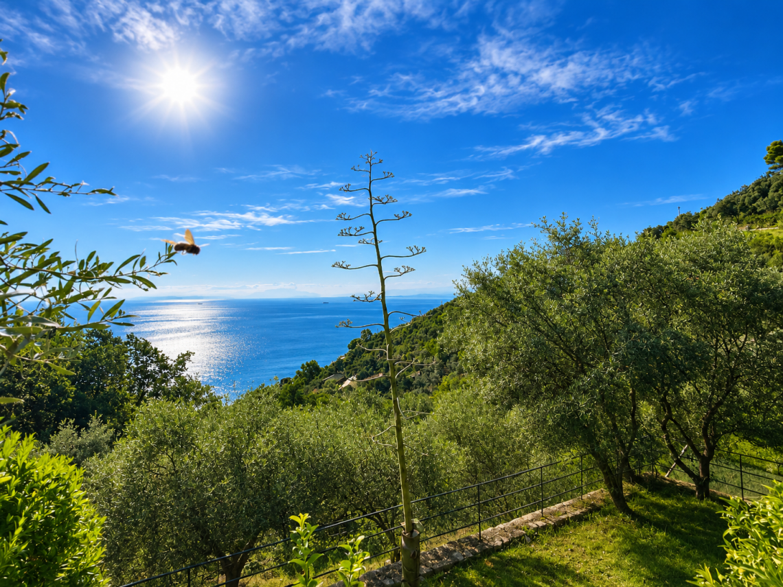 Rustico il Paradiso puo' Attendere | Nervi / Bogliasco / Pieve Ligure / Sori / Recco - Case e ville - Golfo del Tigullio