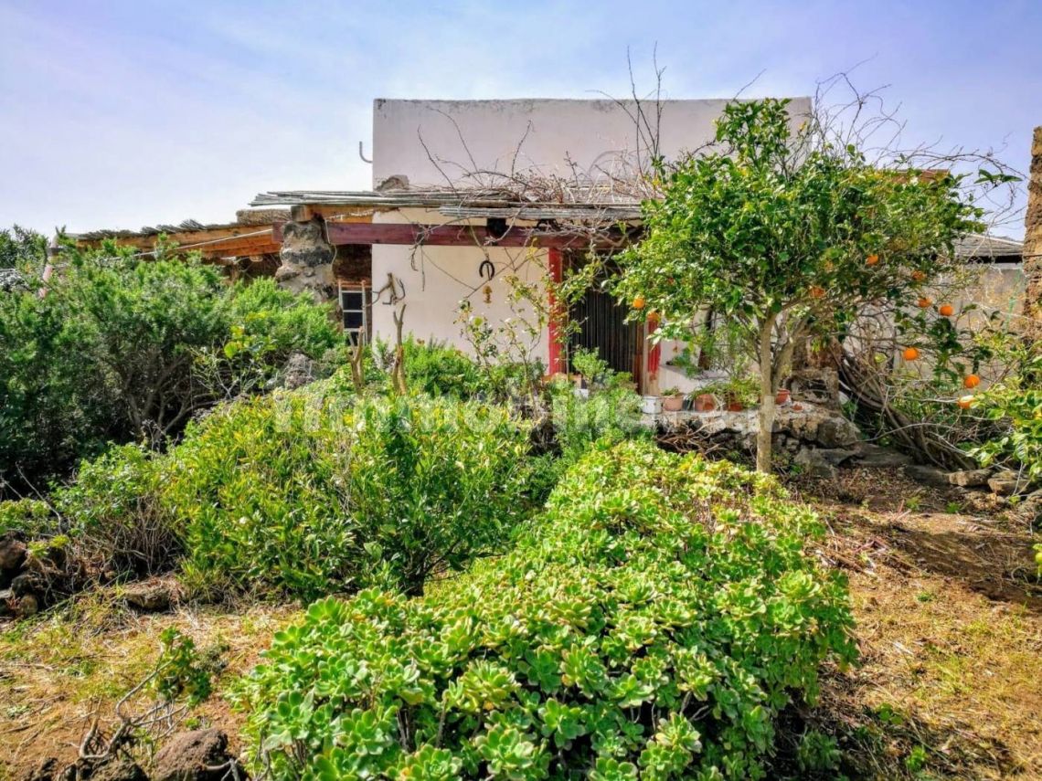 Antico Dammuso di Pantelleria | Частные дома и виллы - Pantelleria - Isole della Sicilia