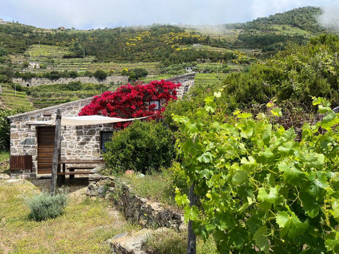 Rustico Paradiso | Farm Houses & Bed & Breakfast - Riomaggiore @ Manarola - 5 Terre