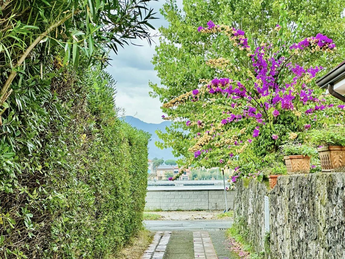 La Casa sull' Estuario | Appartamenti - Bocca di Magra / Fiumaretta / Montemarcello/Marinella - Bocca di Magra / Fiumaretta / Marinella / Montemarcello