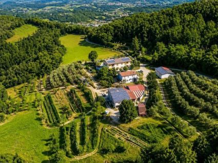 La Grande Fattoria di Gragnola - Lunigiana mare, Sarzana & Colline del Sole