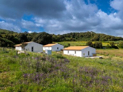 Podere Luogosanto - Nord Sardegna