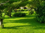 La Villa dei Sogni |  -  - 