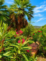 La Villa dei Sogni |  -  - 