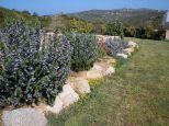 Villa Cala d' Oro |  -  - 