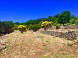 Casette delle Favole Lerici |  -  - 