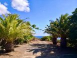 La Tenuta Pantesca |  -  - 