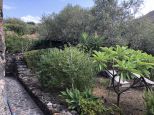Villa il Sogno  di Ginostra |  -  - 