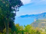 Rustico del Glicine |  -  - 