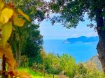 Rustico del Glicine |  -  - 