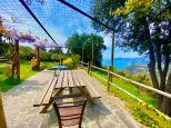 Rustico del Glicine |  -  - 