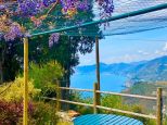 Rustico del Glicine |  -  - 