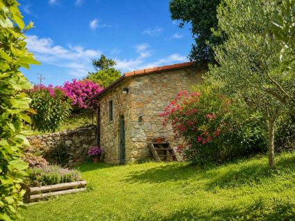 Rustico del Glicine |  -  - 