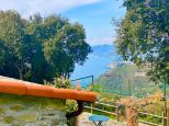 Rustico del Glicine |  -  - 