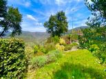 Rustico del Glicine |  -  - 