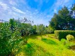 Rustico del Glicine |  -  - 